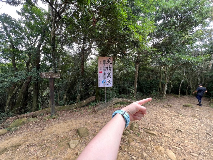 新竹芎林｜飛鳳山．新竹親民小百岳，Ｏ形路線一次完成三座山