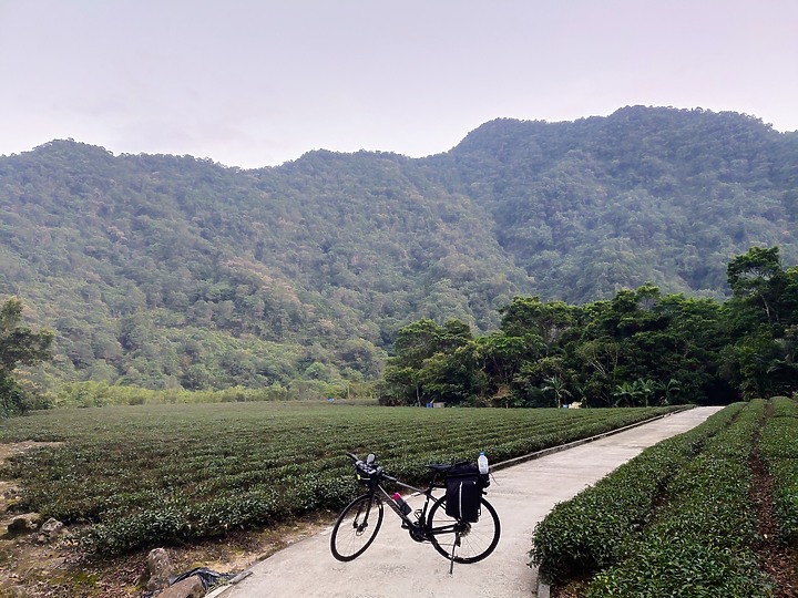 坪林BIKEPACKING遠離塵囂,離都市最近的完善單車露營(圖多)
