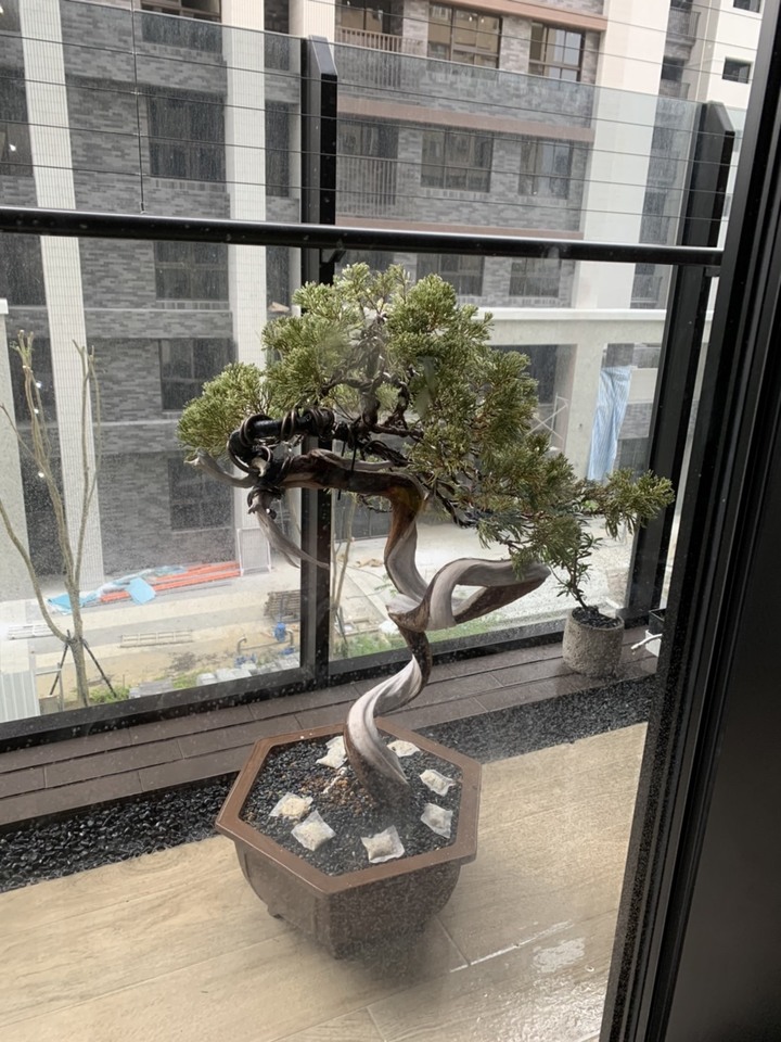 松柏養殖