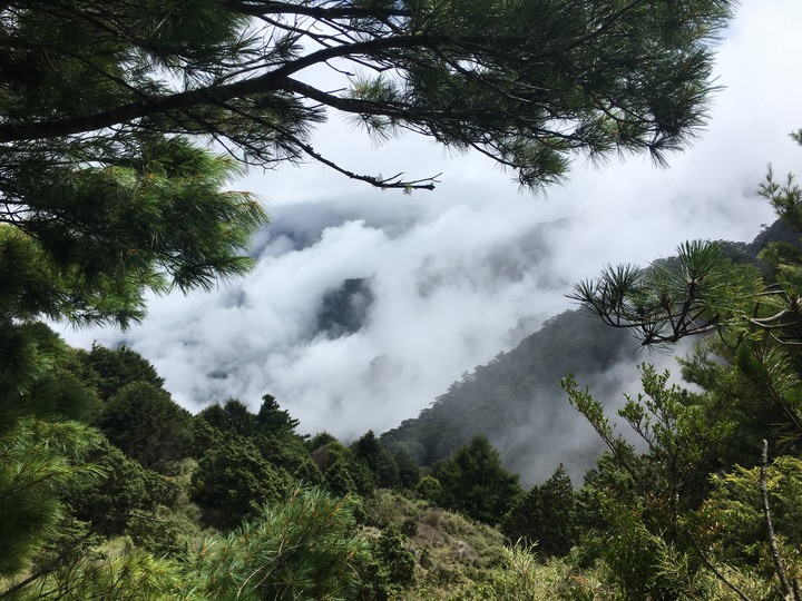 南台灣的合歡山-南橫三星(山)