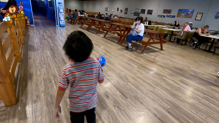 【親子景點 | 遊記】全台唯一的近距離鯊魚餵食體驗,來這裡就對啦