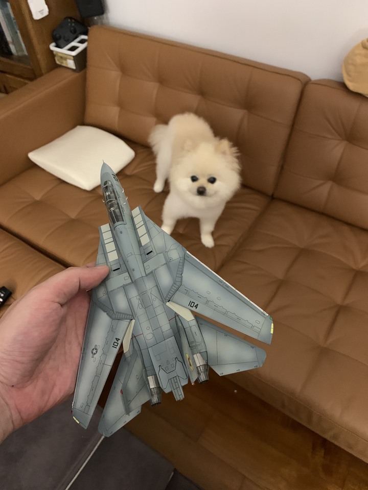 點我看大圖 F-14 collection 圖多