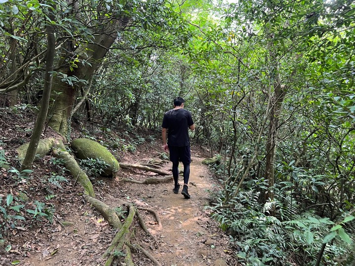 新竹芎林|飛鳳山.新竹親民小百岳,O形路線一次完成三座山