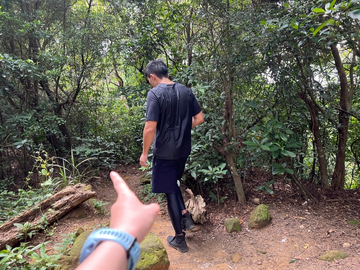 新竹芎林｜飛鳳山．新竹親民小百岳，Ｏ形路線一次完成三座山