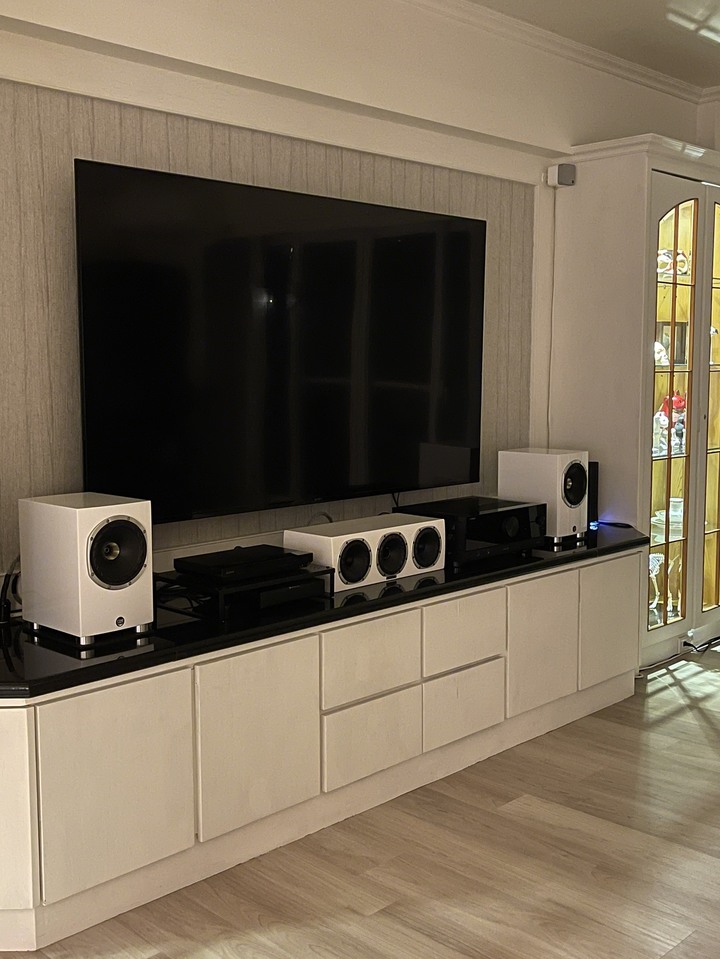 [開箱] 蘇格蘭 Fyne Audio F500SP 同軸單體的魅力
