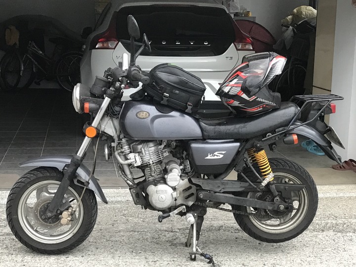 動物系迎娶車隊