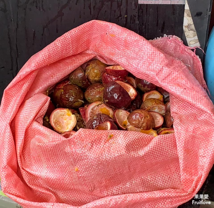 點我看大圖 南投美食-百香果控看過來!百香果剉冰,天然百香果直接給滿滿一整碗