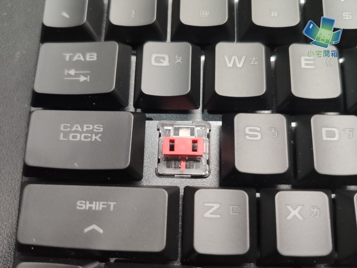 【小宅開箱】不一樣的矮軸！輕巧快速的COUGAR 光學機械軸電競鍵盤開箱體驗