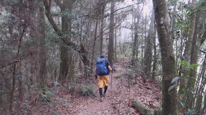 【溪頭鳳凰山.南鳳凰山.天文台】一日O型縱走
