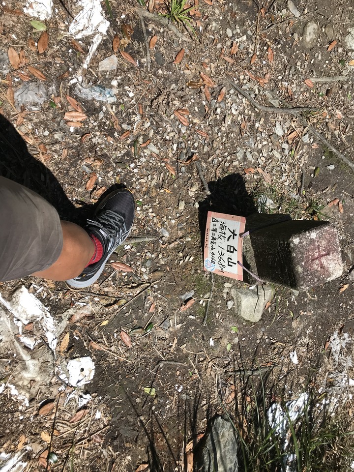 仲秋秋意涼 太平山爆棚