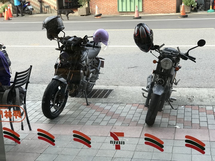 動物系迎娶車隊