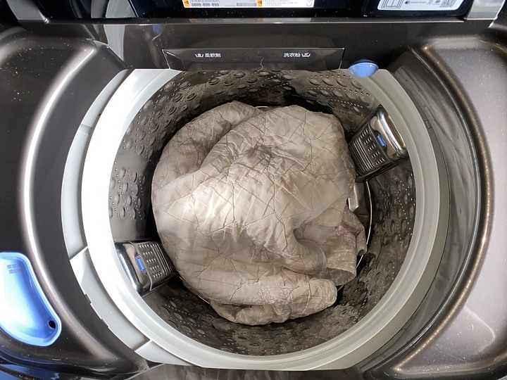 LG黑色蒸氣直立洗衣機 心得