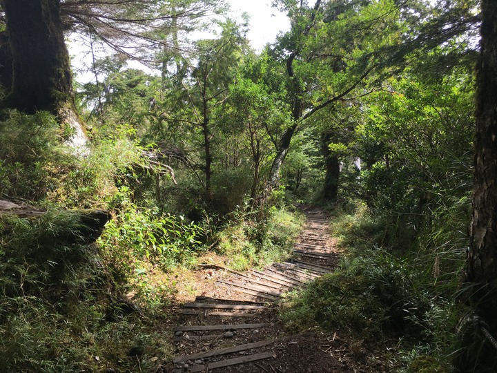 南台灣的合歡山-南橫三星(山)