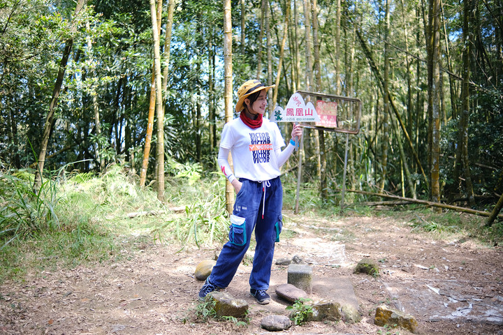 【溪頭鳳凰山.南鳳凰山.天文台】一日O型縱走