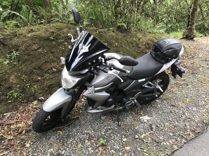 動物系迎娶車隊