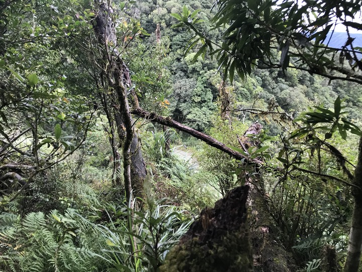 小雲豹登山記&工程車落難記&大野狼驗車記