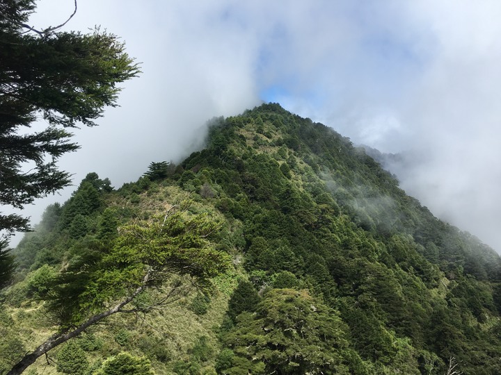 南台灣的合歡山-南橫三星(山)