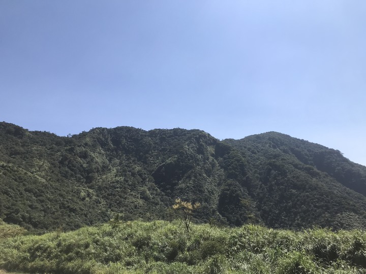 仲秋秋意涼 太平山爆棚