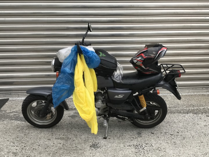 動物系迎娶車隊
