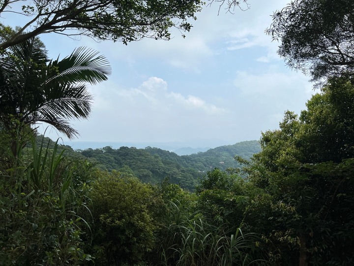 新竹芎林|飛鳳山.新竹親民小百岳,O形路線一次完成三座山