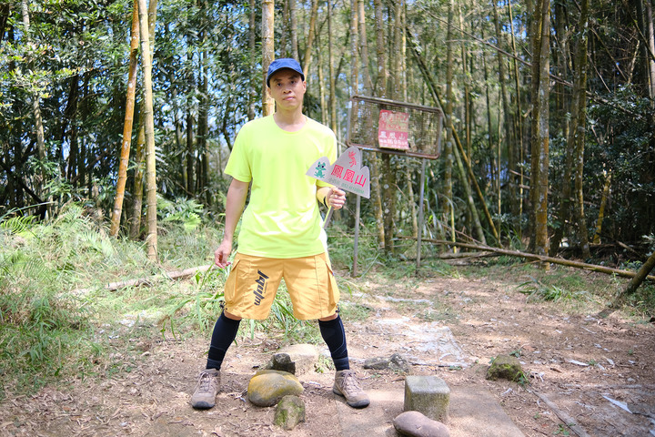 【溪頭鳳凰山.南鳳凰山.天文台】一日O型縱走