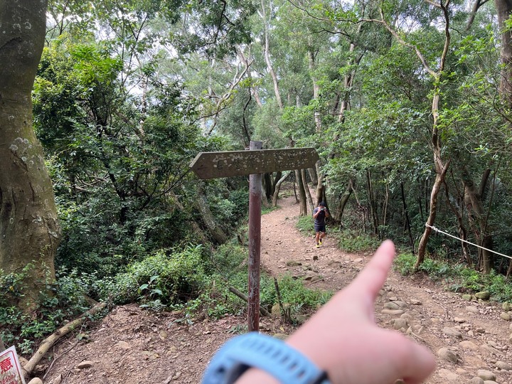 新竹芎林|飛鳳山.新竹親民小百岳,O形路線一次完成三座山