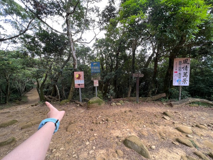 新竹芎林|飛鳳山.新竹親民小百岳,O形路線一次完成三座山