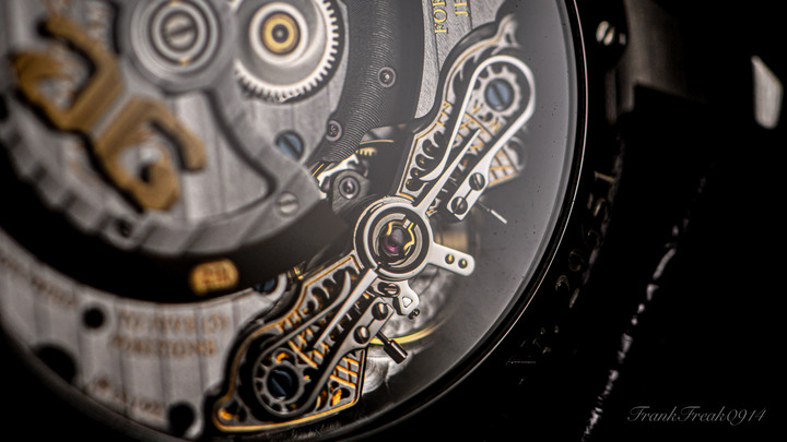 「圖片」來自德國的朋友 Glashütte Original Panomaticlunar