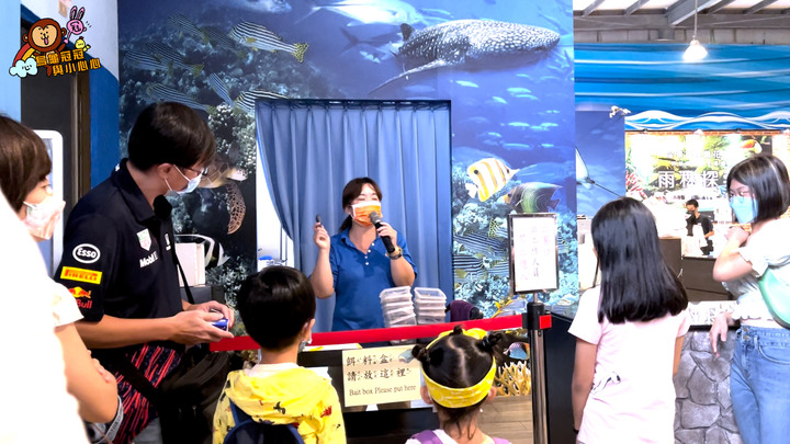 【親子景點 | 遊記】全台唯一的近距離鯊魚餵食體驗,來這裡就對啦