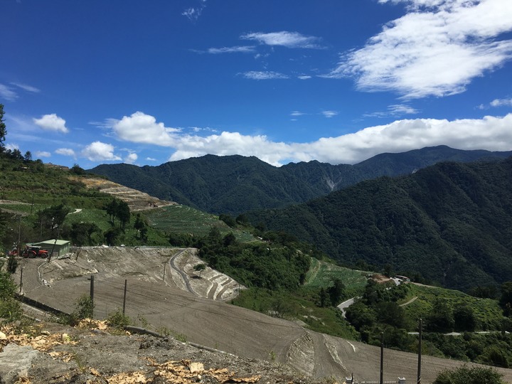 南台灣的合歡山-南橫三星(山)