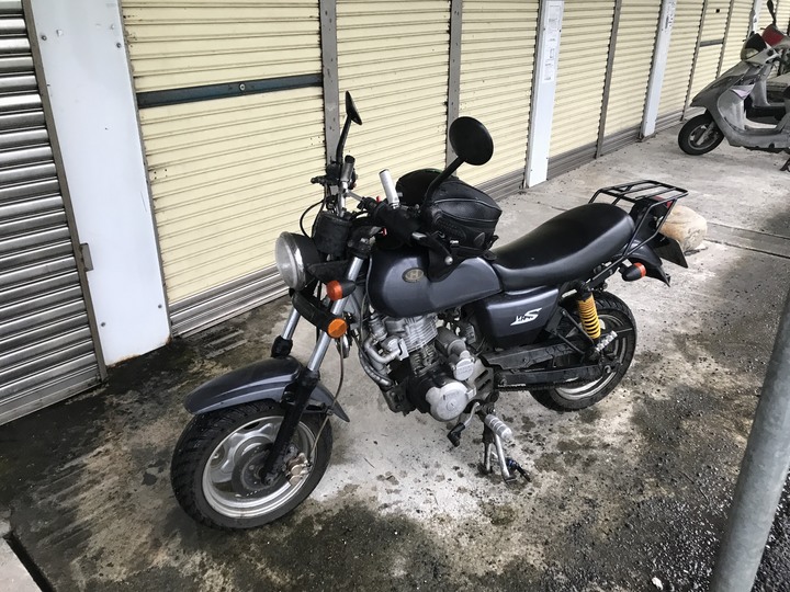動物系迎娶車隊