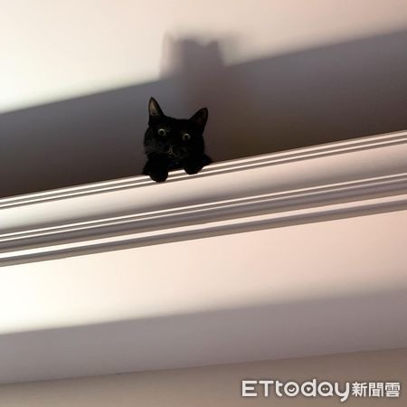 抬頭見「黑頭監視器」上帝視角逼視媽打冷顫:看得我發寒