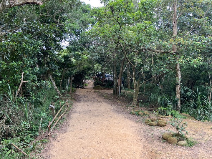 新竹芎林|飛鳳山.新竹親民小百岳,O形路線一次完成三座山