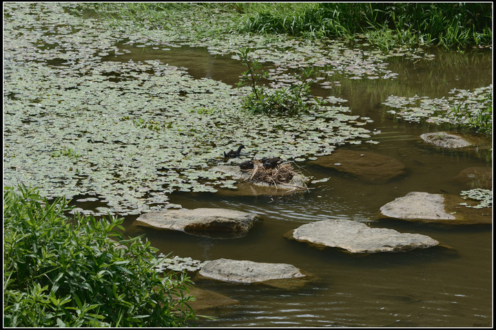 金瑞治水園區（0827-0917）