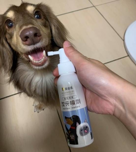 第一次參加黃金盾的發表會