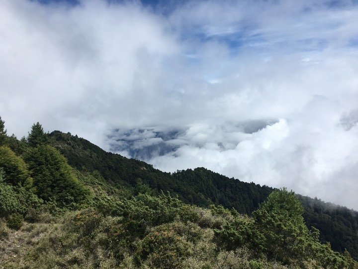 南台灣的合歡山-南橫三星(山)