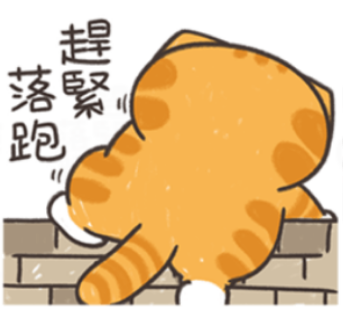 台股進入熊市，再不跑就來不及了