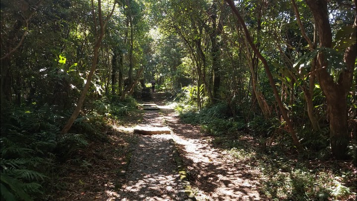 [樂山童盟] [台北文山] 樟湖山-鵝角格山-鵝角格東峰-三玄宮山-獅球山
