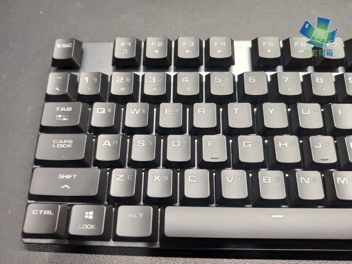 【小宅開箱】不一樣的矮軸！輕巧快速的COUGAR 光學機械軸電競鍵盤開箱體驗
