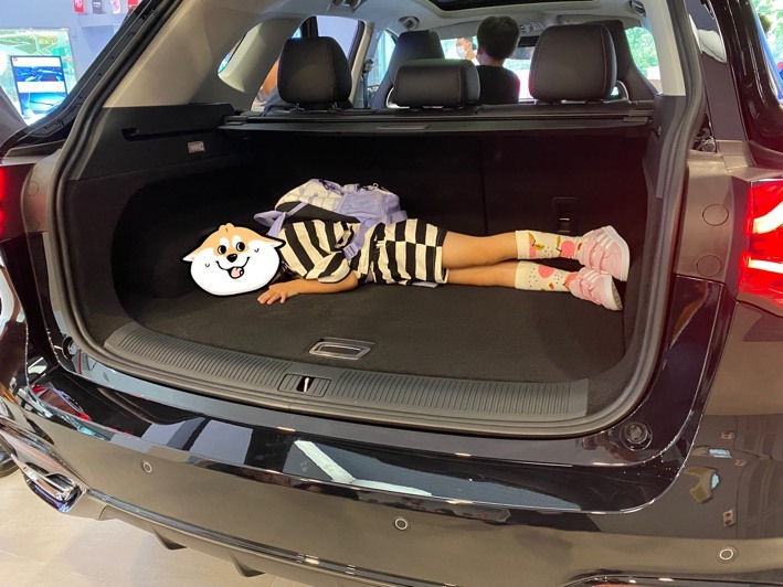 MG展間賞車心得分享