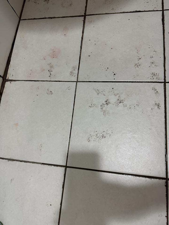 磁磚變黑清理