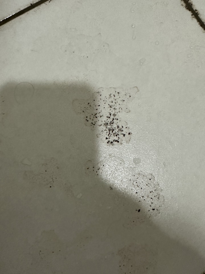 磁磚變黑清理