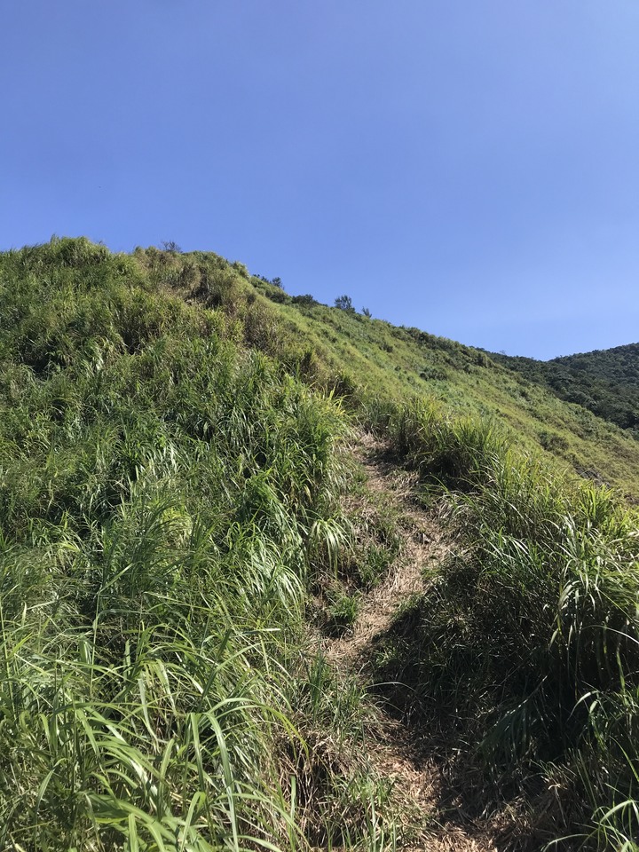 仲秋秋意涼 太平山爆棚