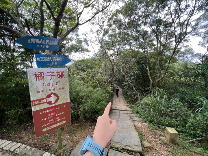 新竹芎林|飛鳳山.新竹親民小百岳,O形路線一次完成三座山