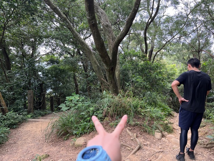 新竹芎林|飛鳳山.新竹親民小百岳,O形路線一次完成三座山