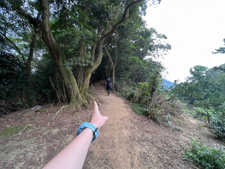 新竹芎林|飛鳳山.新竹親民小百岳,O形路線一次完成三座山