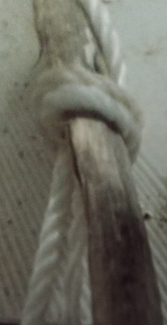 請問為弓上弦不緊?
