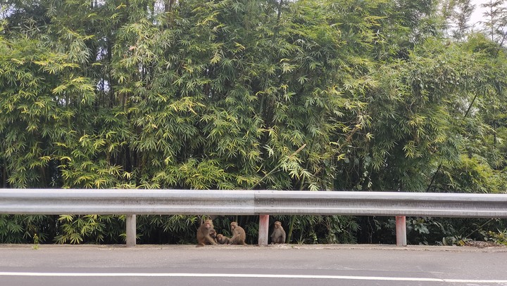 小布騎遊蘇花公路全段 | (花蓮-蘇澳) | 重機開放蘇花改後的舊蘇花公路現況