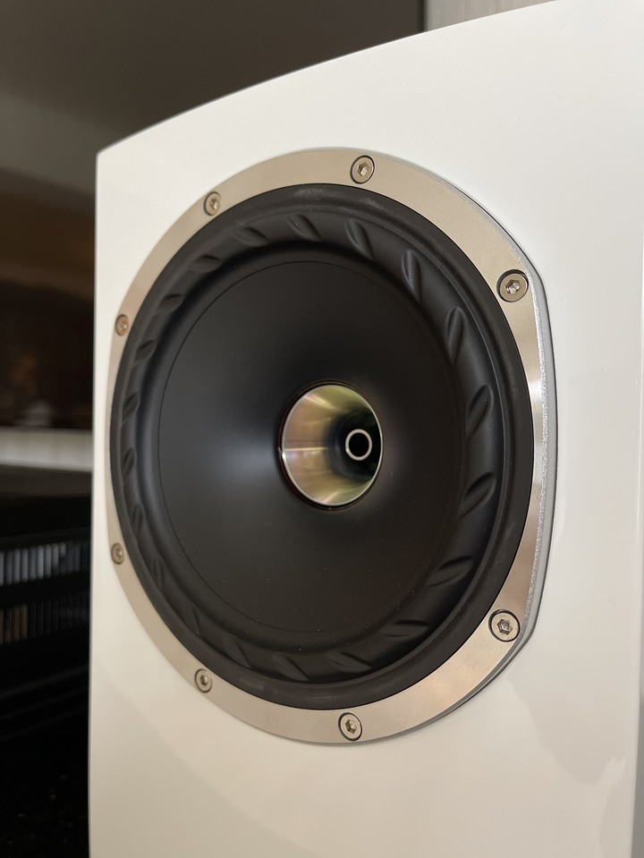 [開箱] 蘇格蘭 Fyne Audio F500SP 同軸單體的魅力
