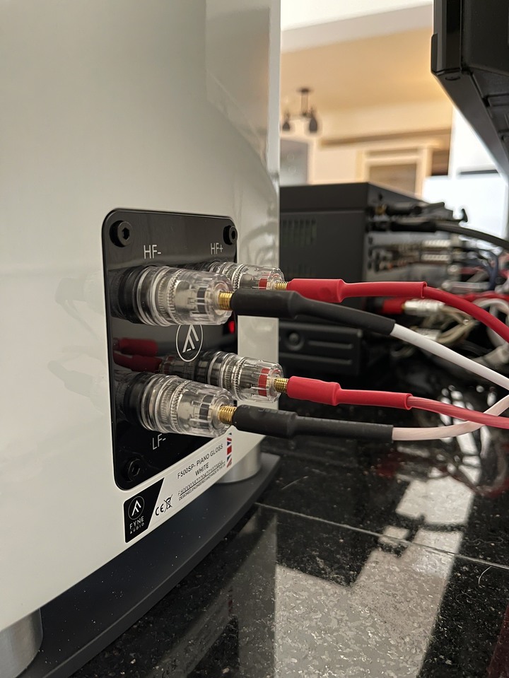 [開箱] 蘇格蘭 Fyne Audio F500SP 同軸單體的魅力
